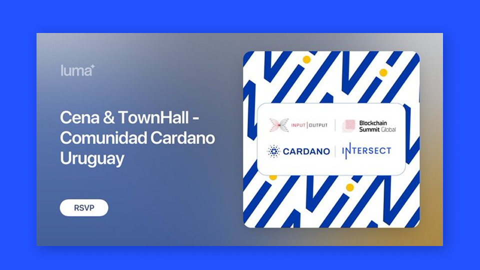 Redo display ad featuring person on laptop and the following text overlay: Redo, clear up confusion, gain peace of mind